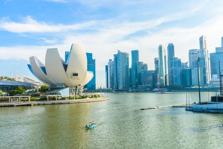 1500711988388495.jpg 1500711988388495.jpg