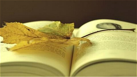 O-Level在线培训带你解读新加坡留学的陪读政策 O-Level在线培训带你解读新加坡留学的陪读政策