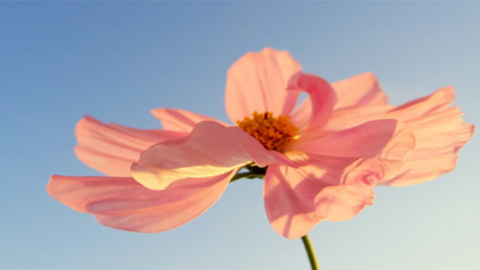 为什么你拿不到高分?O-level数学考试常见错误讲解 为什么你拿不到高分?O-level数学考试常见错误讲解