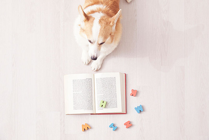 O-Level英语口语中最常考的27类词汇（分类总结）