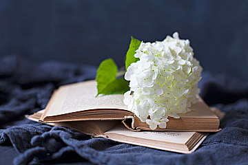 O-Level考试|这39个高级词，润色你的英语作文太有用了