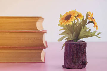 O-Level英语写作备考|社会类的作文素材