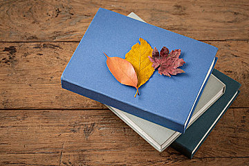 O-Level阅读：四大题型高分技巧