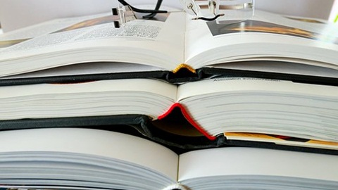 O-Level写作中议论文的要点