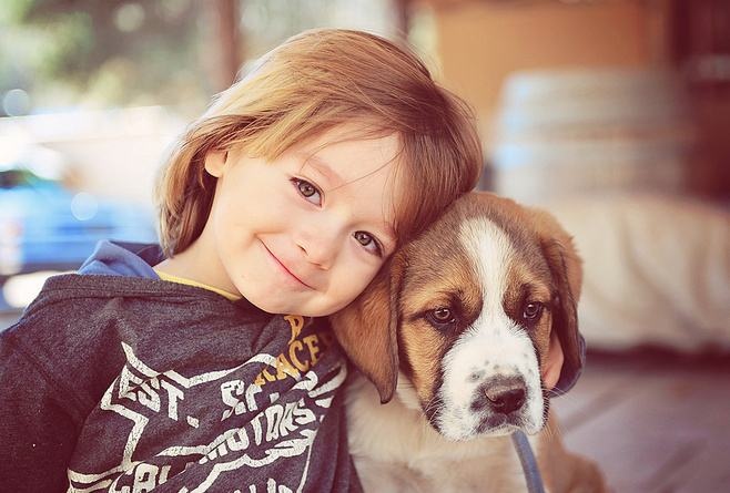 olevel考试时间,课窝O-Level,O-Level考试