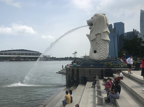 上海o-level培训揭秘NUS应对新冠疫情最新科研动向：信息技术解决方案