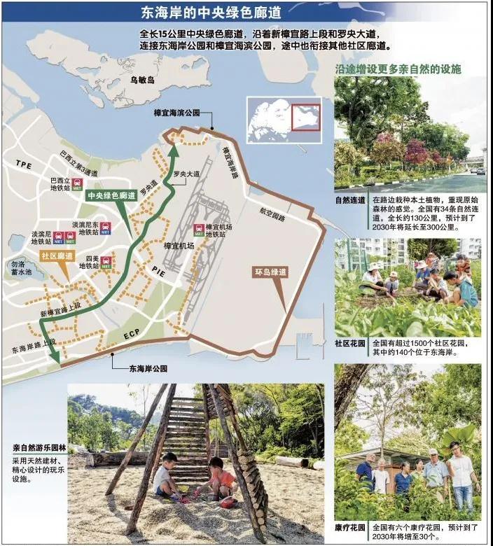 新加坡东部将建15公里长新中央绿色廊道,全民皆可参与构思,自然爱好者期盼能够恢复樟宜村生物多样性 新加坡东部将建15公里长新中央绿色廊道,全民皆可参与构思,自然爱好者期盼能够恢复樟宜村生物多样性